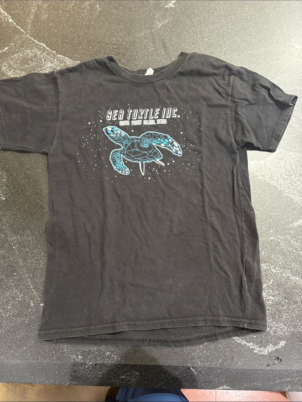 Hanes Black Tee with Teal Sea Turtle Graphic